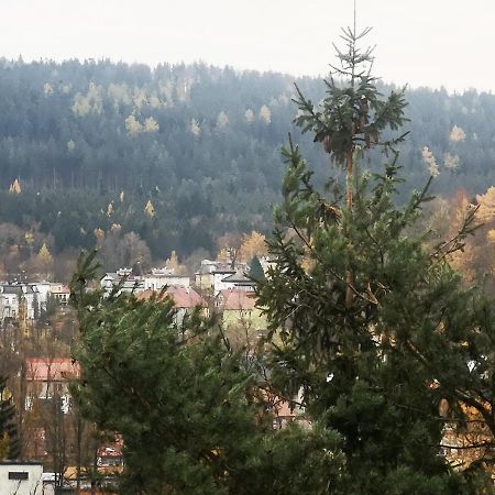 Irysek Apartman Lądek-Zdrój Kültér fotó