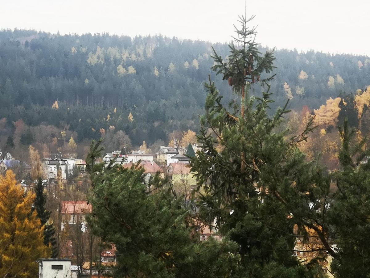 Irysek Apartman Lądek-Zdrój Kültér fotó